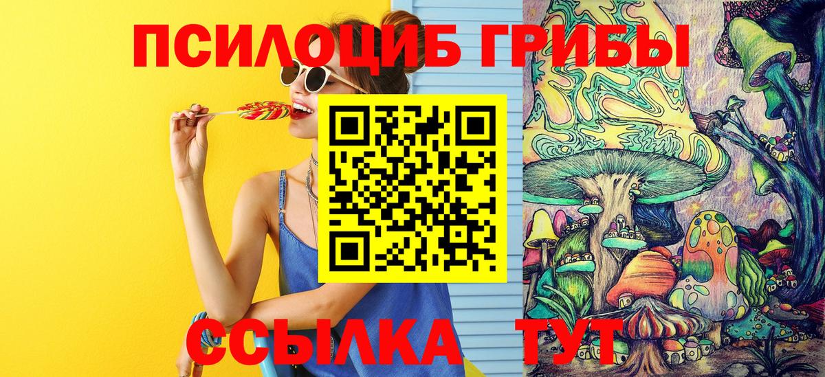 Сердобск  Псилоцибиновые грибы мицелий  цена   Вход с VPN 